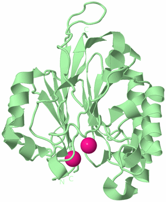 Image Biological Unit 2