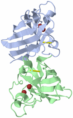 Image Asym./Biol. Unit
