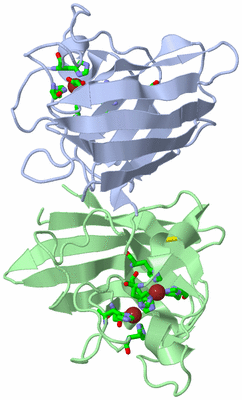 Image Asym./Biol. Unit - sites