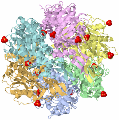 Image Asym./Biol. Unit