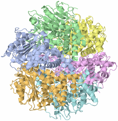 Image Biological Unit 1