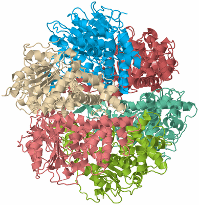 Image Biological Unit 2