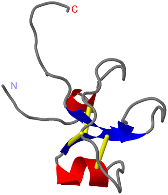 Image NMR Structure - model 1