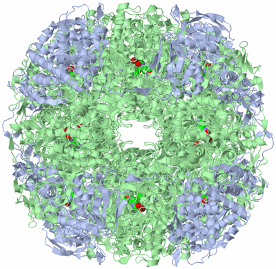 Image Biological Unit 1