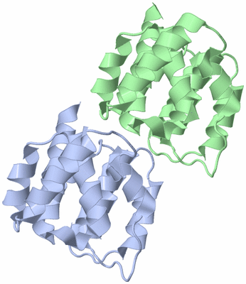 Image Asymmetric Unit