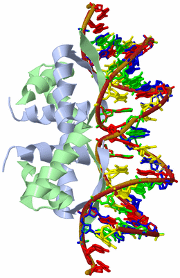 Image Biological Unit 4