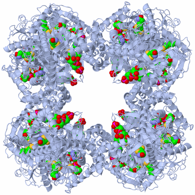 Image Biological Unit 1