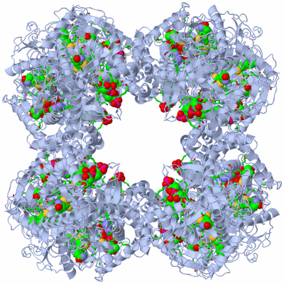 Image Biol. Unit 1 - sites