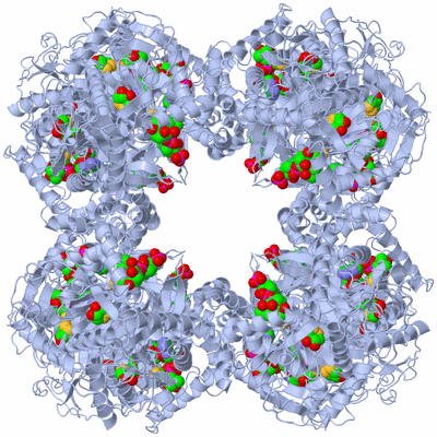 Image Biological Unit 1