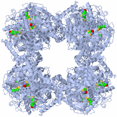 Image Biological Unit 1