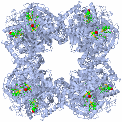 Image Biol. Unit 1 - sites