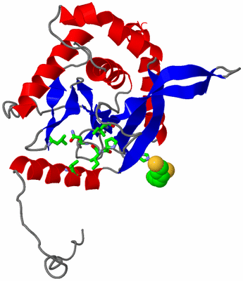 Image Asym. Unit - sites