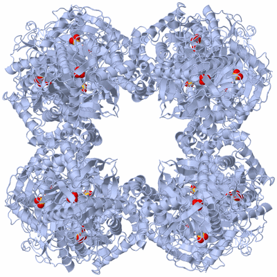 Image Biological Unit 1