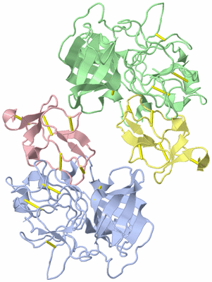 Image Biological Unit 1