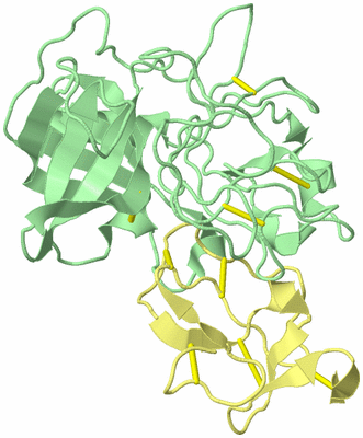 Image Biological Unit 2