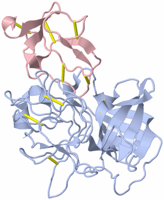 Image Biological Unit 3