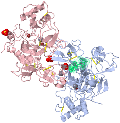 Image Biological Unit 1