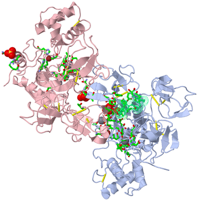 Image Biol. Unit 1 - sites