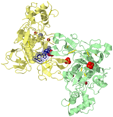 Image Biological Unit 2