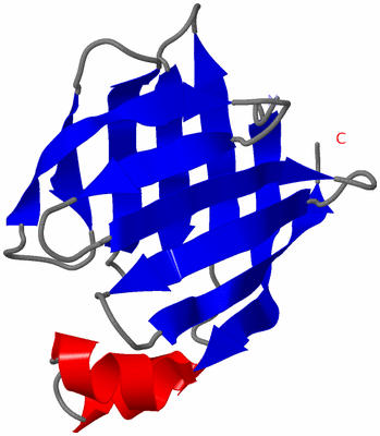 Image NMR Structure - model 1