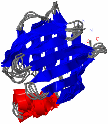 Image NMR Structure - all models