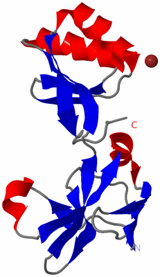 Image Asymmetric Unit