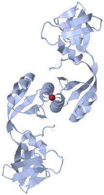 Image Biological Unit 1