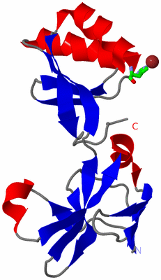 Image Asym. Unit - sites