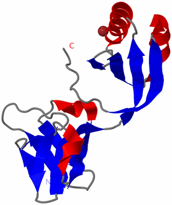 Image Asymmetric Unit