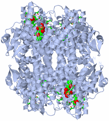 Image Biol. Unit 1 - sites