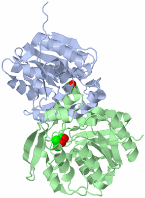Image Asymmetric Unit