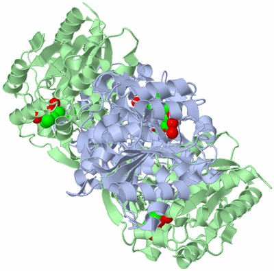 Image Biol. Unit 1 - sites