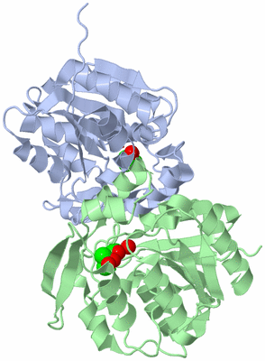 Image Asym. Unit - sites