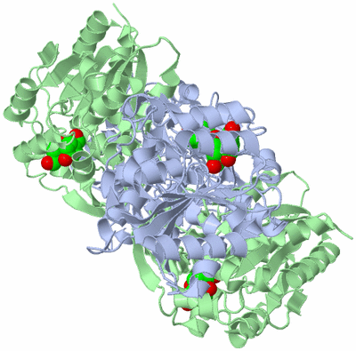 Image Biological Unit 1