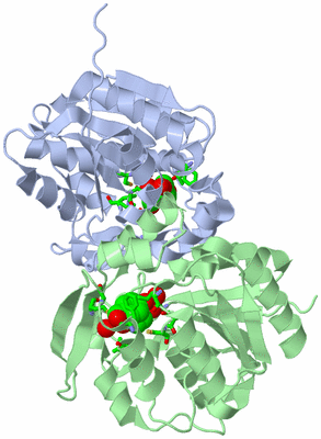 Image Asym. Unit - sites