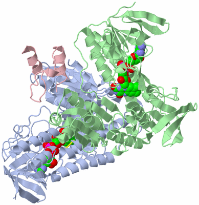 Image Asym./Biol. Unit