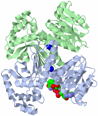 Image Asym./Biol. Unit