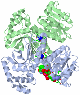 Image Asym./Biol. Unit - sites