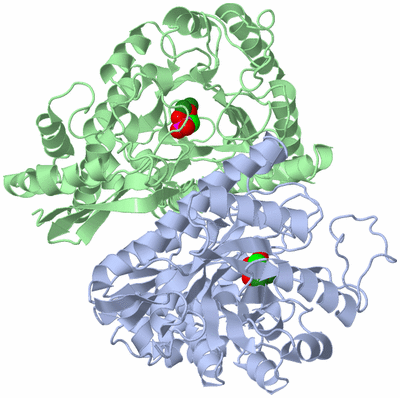 Image Asym./Biol. Unit