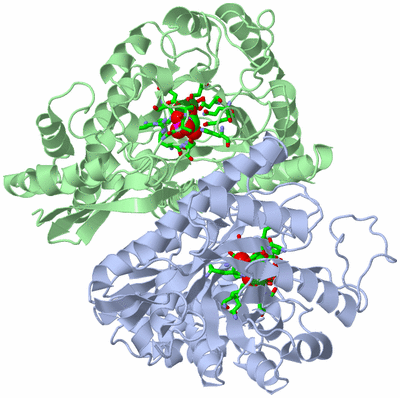 Image Asym./Biol. Unit - sites