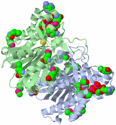 Image Asym./Biol. Unit