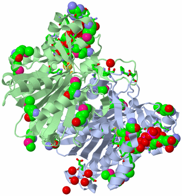 Image Asym./Biol. Unit - sites