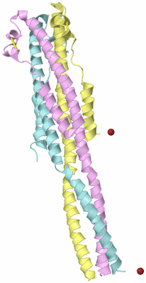 Image Biological Unit 2