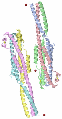 Image Biological Unit 3