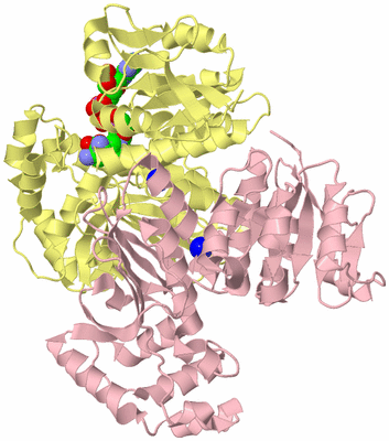 Image Biological Unit 2