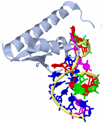 Image Biological Unit 1