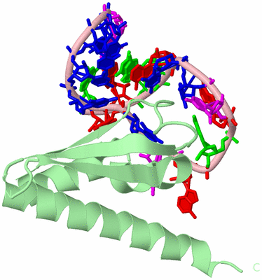 Image Biological Unit 2