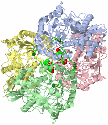 Image Asym./Biol. Unit - sites