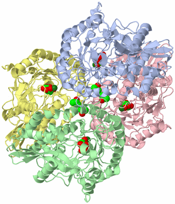 Image Asym./Biol. Unit