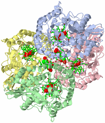 Image Asym./Biol. Unit - sites